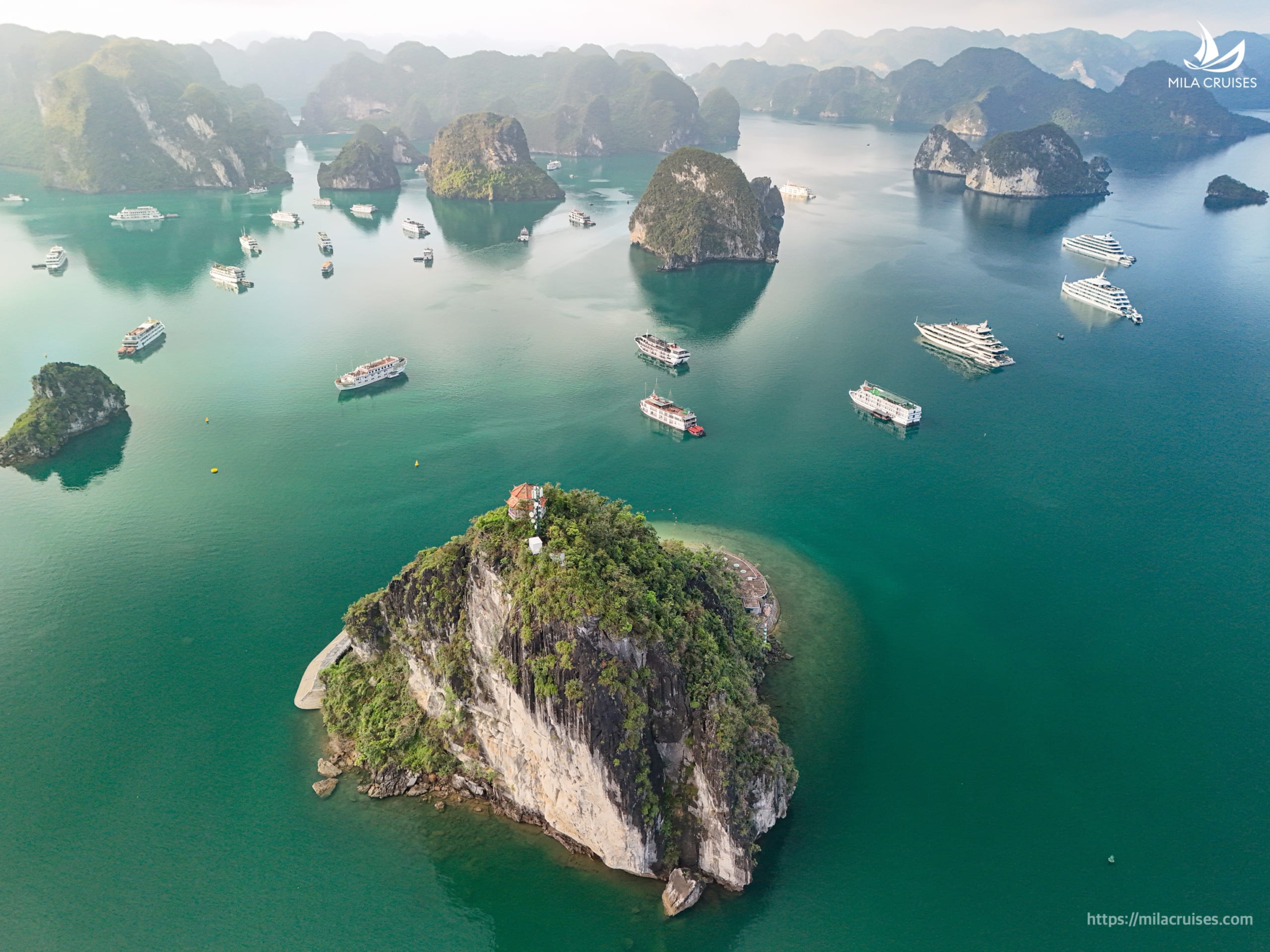 Top 5 Reasons to Choose a Halong Bay Cruise 