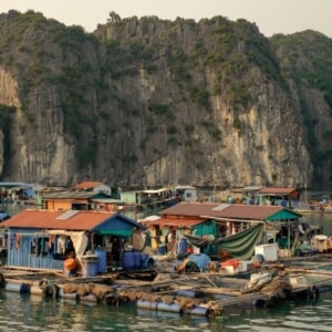 Floating fishing village with colourful roofs at the foot of steep limestone cliffs on Cat Ba Island